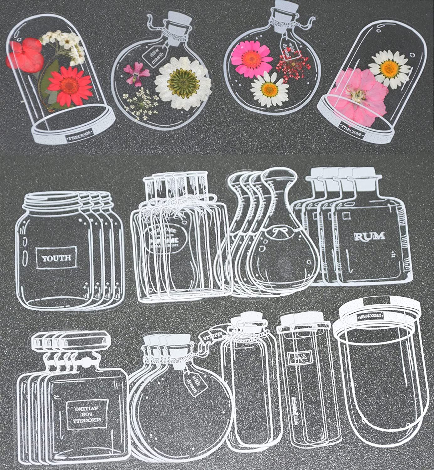 30Pcs DIY Transparent Dried Fl - Dried Flower Bookmark recensione e prezzo