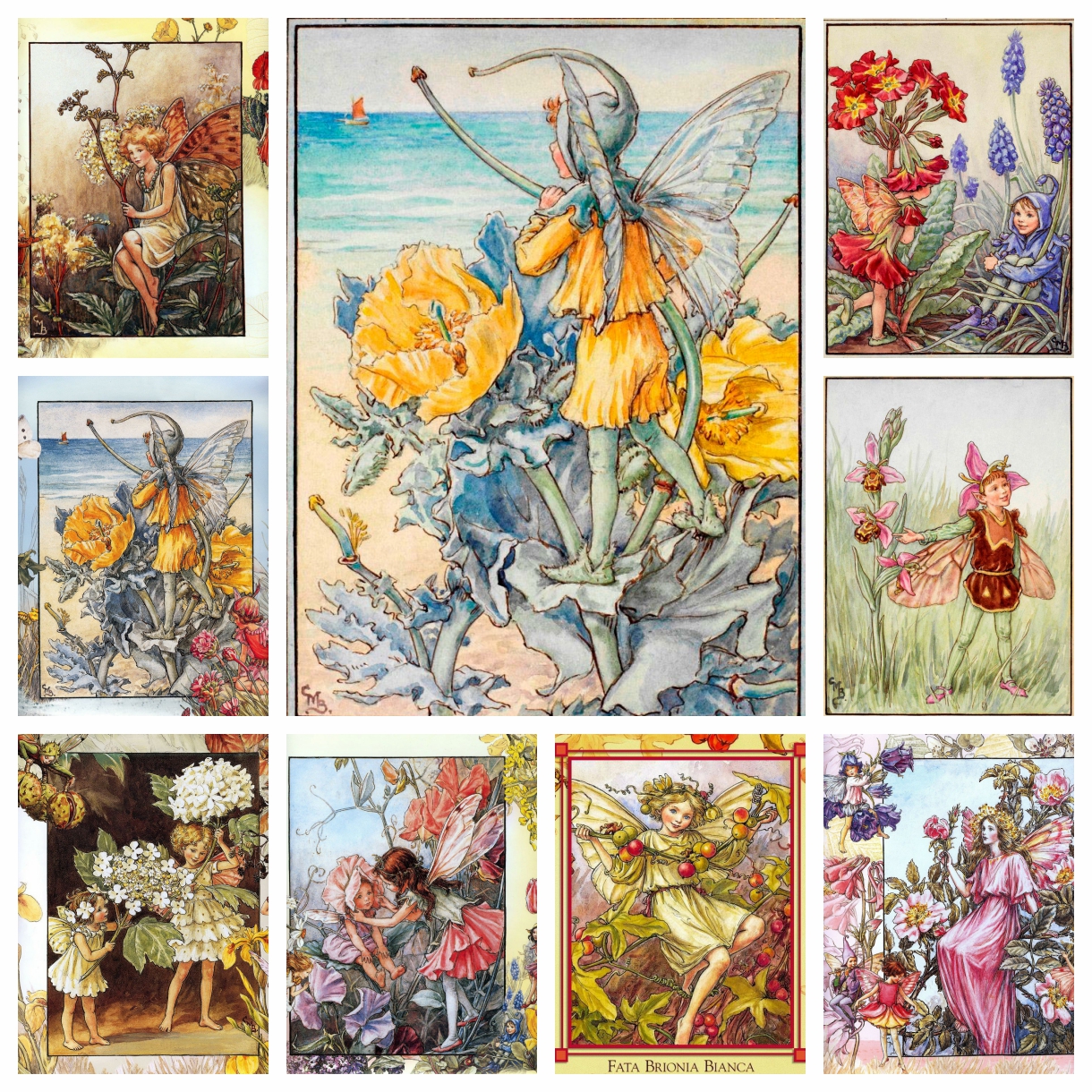 Cicely Mary Barker Artwork Flo - Photo Mosaic Print recensione e prezzo