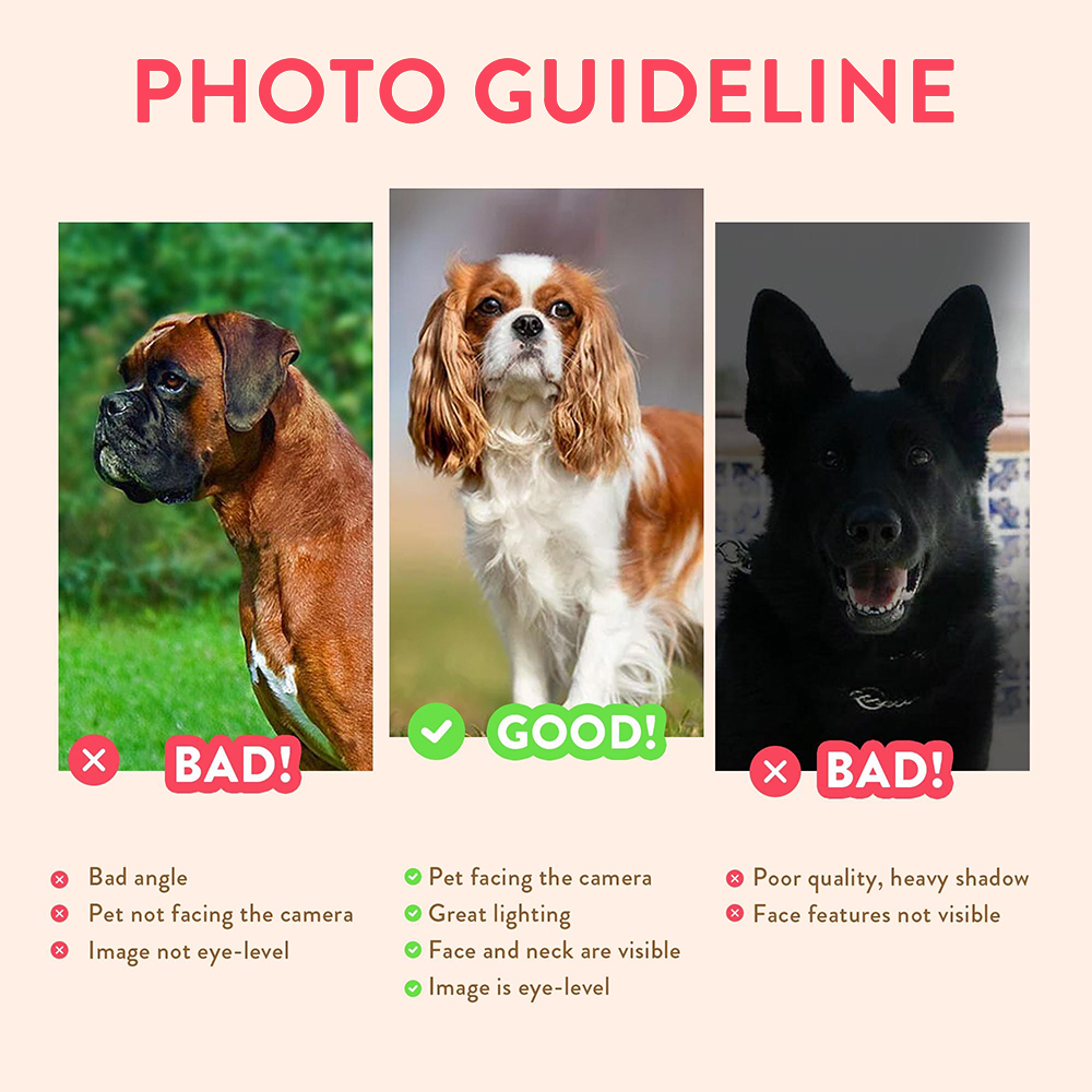 Personalized Pet Portraits Pho - Pet Portrait Custom recensione e prezzo