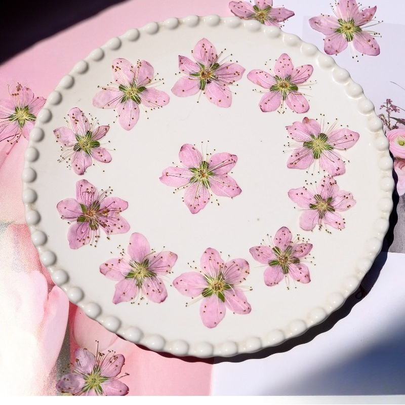 3-4cm./6pcs,Pink Peach Blossom - Dried Flower Bookmark recensione e prezzo