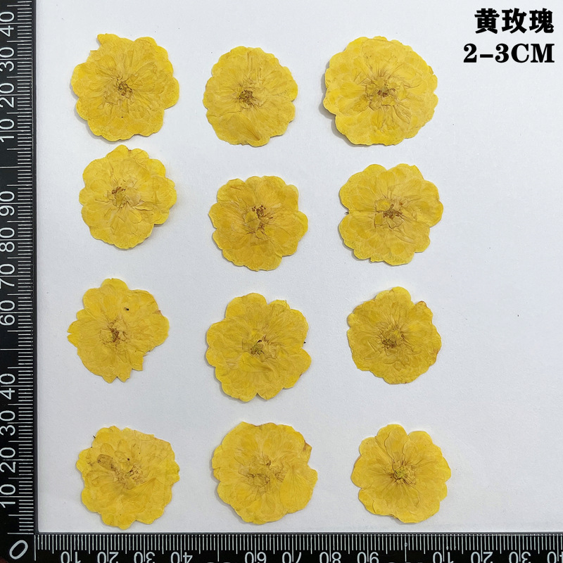 60pcs Pressed Dried Red Yellow - Dried Flower Bookmark recensione e prezzo