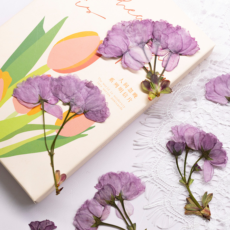 48Pcs New Product Guanshan Che - Dried Flower Bookmark recensione e prezzo
