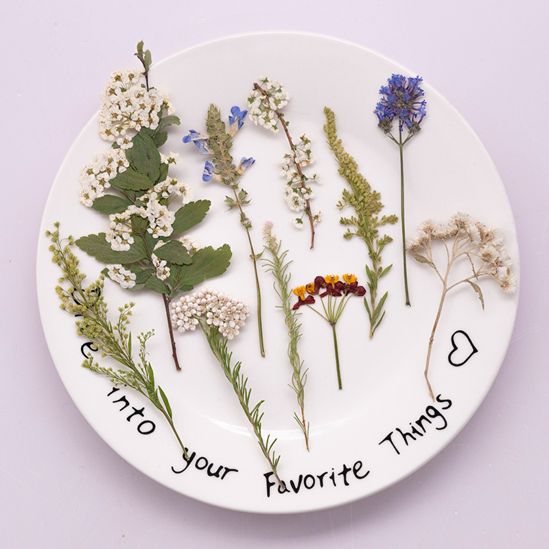 500Pcs Large Package of Fern P - Dried Flower Bookmark recensione e prezzo