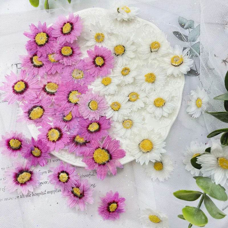 24pcs/2-4CM,Natural Pressed Fl - Dried Flower Bookmark recensione e prezzo