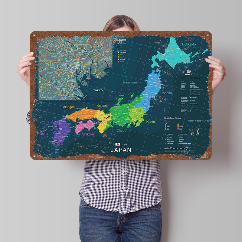 Map of Japan and Tokyo Poster  - Custom Map Poster recensione e prezzo