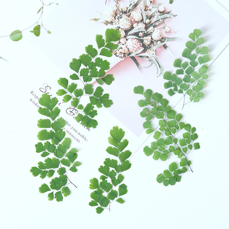 60Pcs Natural Plant Real Flowe - Dried Flower Bookmark recensione e prezzo