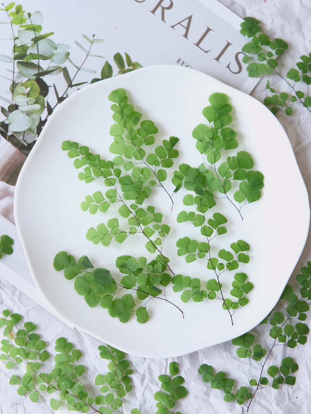 60Pcs Natural Plant Real Flowe - Dried Flower Bookmark recensione e prezzo
