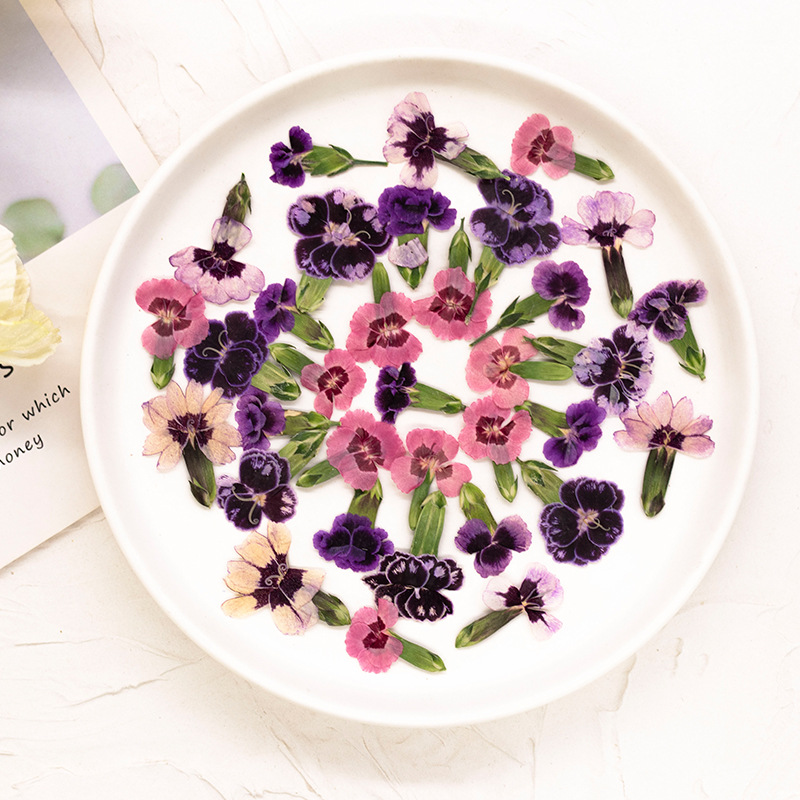 24pcs,Pressed Dried Dianthus F - Dried Flower Bookmark recensione e prezzo