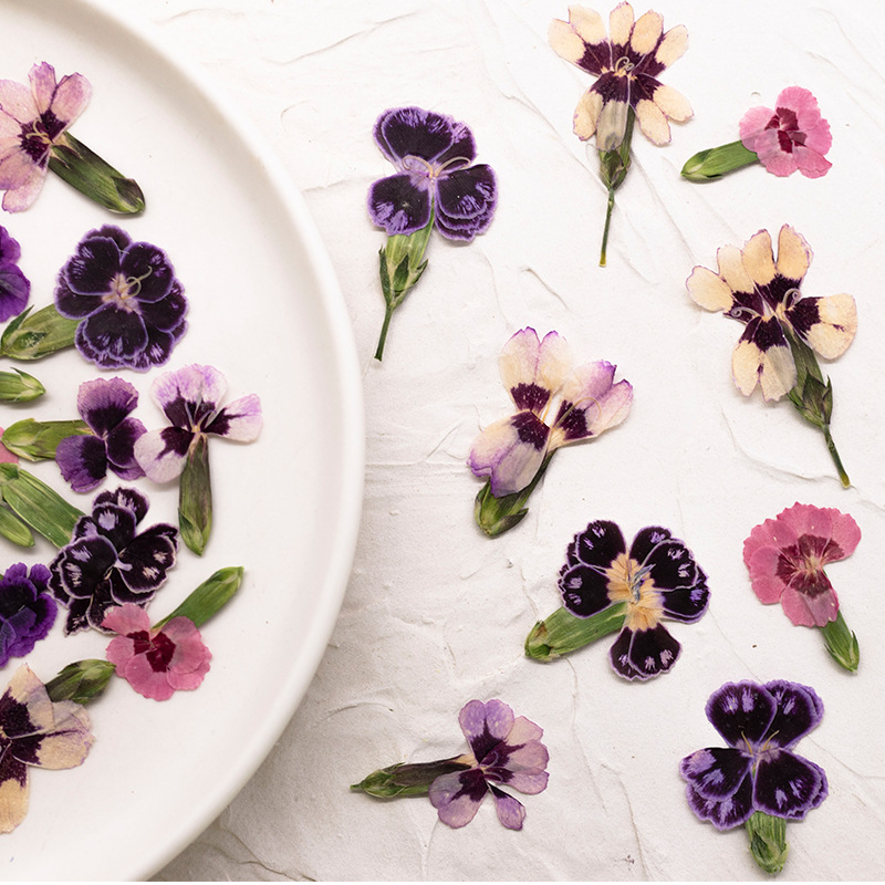 24pcs,Pressed Dried Dianthus F - Dried Flower Bookmark recensione e prezzo