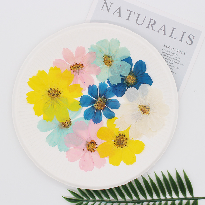 36Pcs Large Cosmos Flower Drie - Dried Flower Bookmark recensione e prezzo