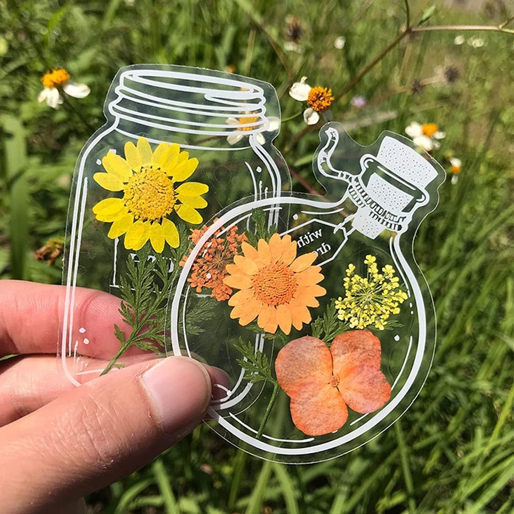 30Pcs Transparent Dried Flower - Dried Flower Bookmark recensione e prezzo